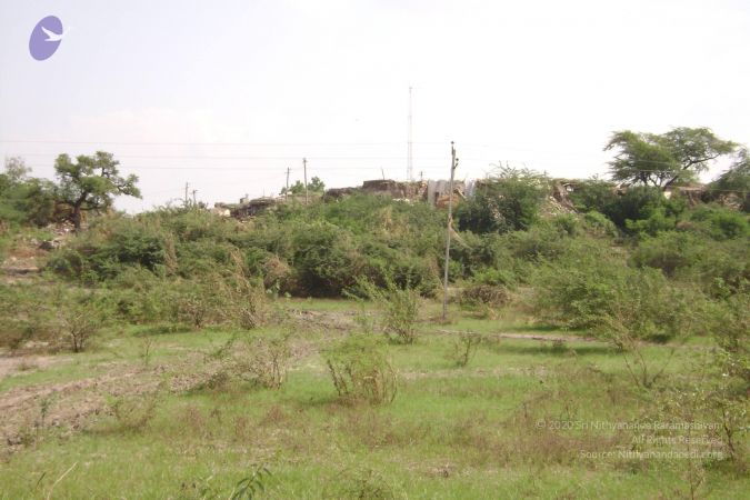 2006 DSC01649 CMP WM.jpg