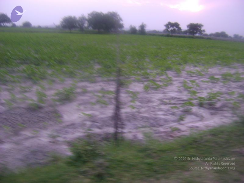 File:2006 DSC01747 CMP WM.jpg