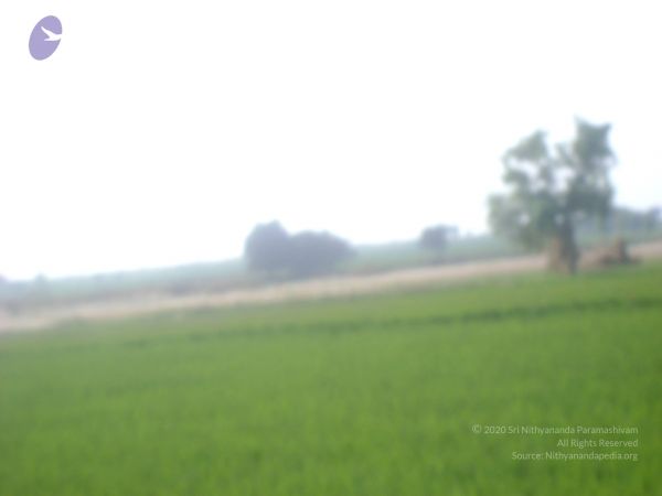 2006 DSC01769 CMP WM.jpg