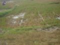 Thumbnail for version as of 10:24, 17 May 2021