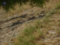 Thumbnail for version as of 10:24, 17 May 2021