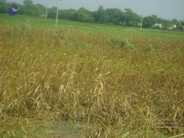 2006 DSC01784 CMP WM.jpg