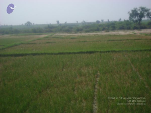 2006 DSC01788 CMP WM.jpg