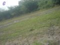 Thumbnail for version as of 10:25, 17 May 2021