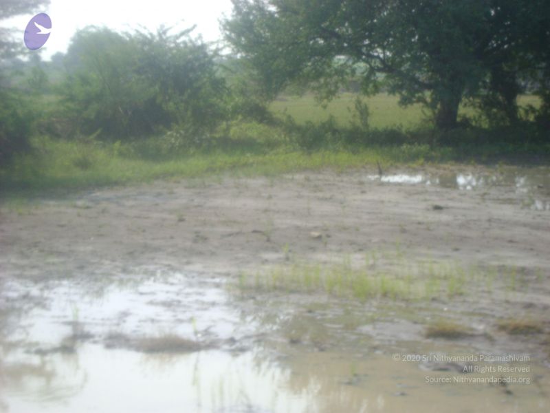 File:2006 DSC01792 CMP WM.jpg