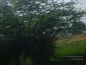 2006 DSC01793 CMP WM.jpg