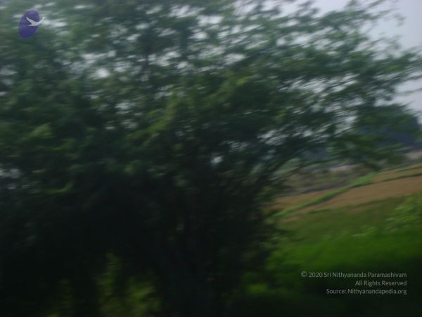 2006 DSC01793 CMP WM.jpg