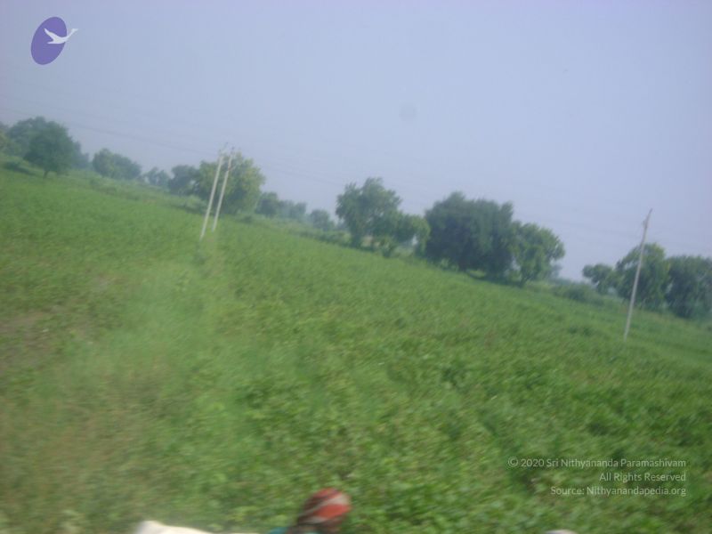 File:2006 DSC01796 CMP WM.jpg