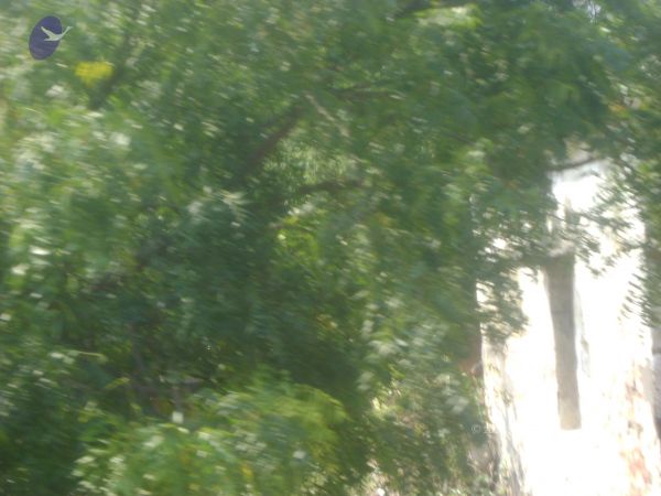 2006 DSC01799 CMP WM.jpg