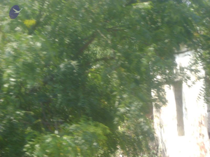 File:2006 DSC01799 CMP WM.jpg