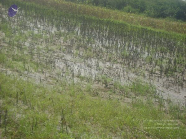 2006 DSC01801 CMP WM.jpg