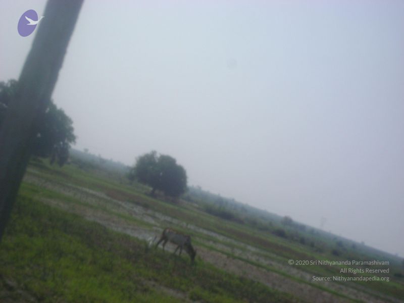 File:2006 DSC01804 CMP WM.jpg
