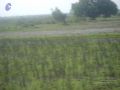 Thumbnail for version as of 10:25, 17 May 2021