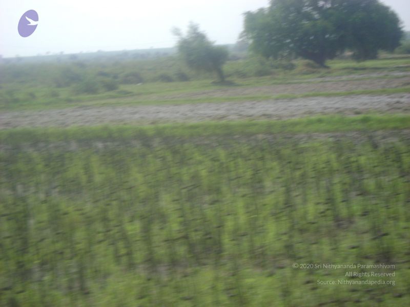 File:2006 DSC01805 CMP WM.jpg