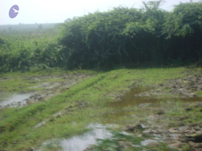 File:2006 DSC01808 CMP WM.jpg