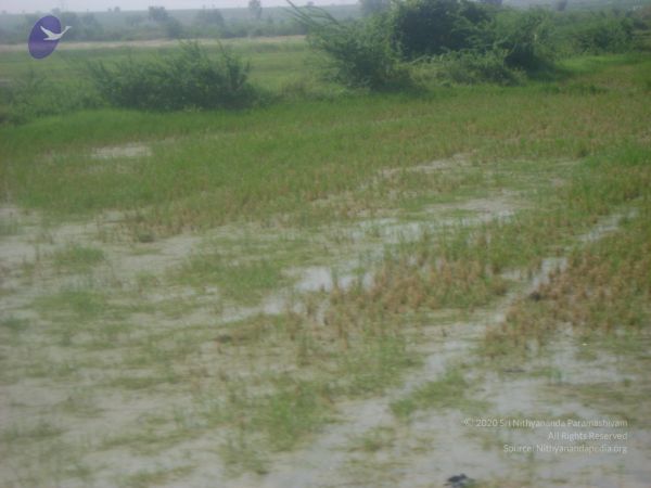 2006 DSC01809 CMP WM.jpg