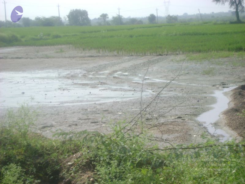 File:2006 DSC01813 CMP WM.jpg