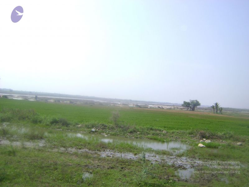File:2006 DSC01821 CMP WM.jpg