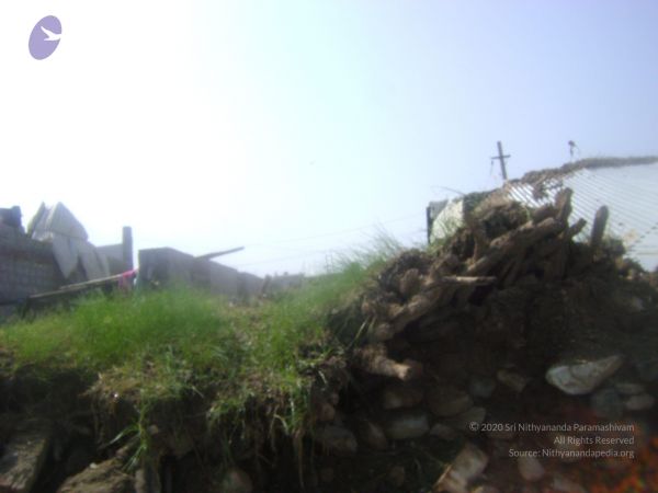 2006 DSC01829 CMP WM.jpg