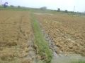 Thumbnail for version as of 10:29, 17 May 2021