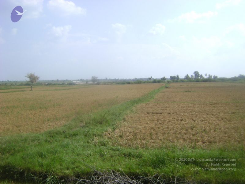 File:2006 DSC01921 CMP WM.jpg