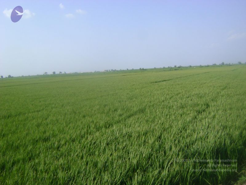File:2006 DSC01958 CMP WM.jpg