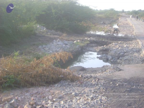 2006 DSC01966 CMP WM.jpg