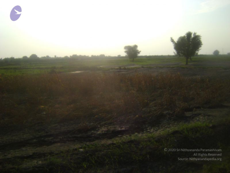 File:2006 DSC01970 CMP WM.jpg