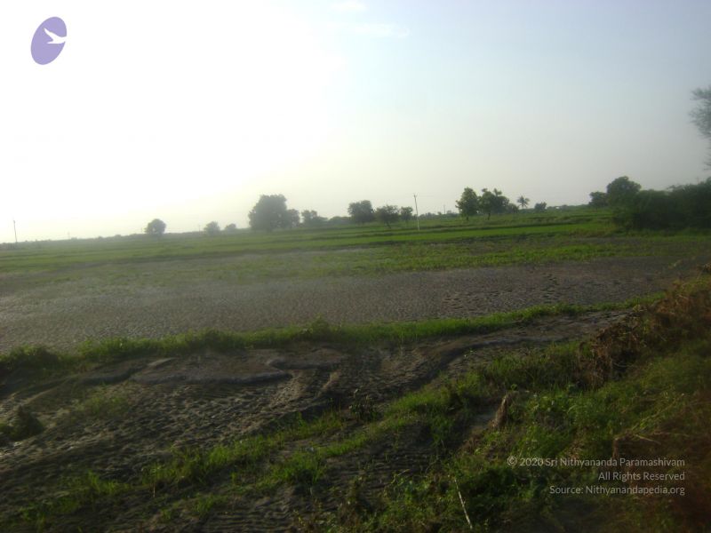 File:2006 DSC01971 CMP WM.jpg