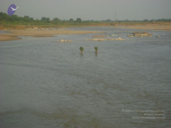 2006 DSC01978 CMP WM.jpg