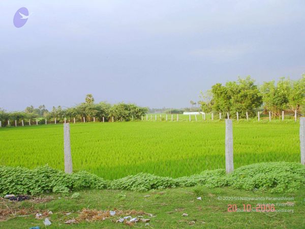 2006 Ratham Navalur Kuttapattu Photo 167 1FNrRL6c9zIBg-imUclEq4w0WQtXk8OrA.jpg