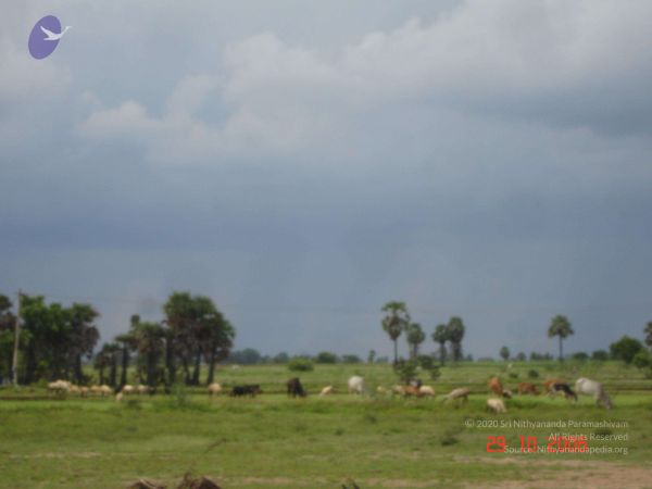 2006 Ratham Oct29th Nov05th Photo 235 1L0qzeUAe0lRb8R3W5OmV 3mBdIRifflq.jpg