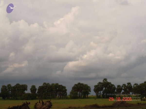 2006 Ratham Oct29th Nov05th Photo 243 1EbCbXT-6zPtyejTIE7wxW68s8Thf2FHN.jpg