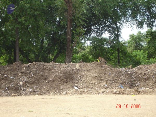 2006 Ratham Oct29th Nov05th Photo 270 1CxklMHqBKY1gVA28HNPjyRpP7ZlOgrh5.jpg