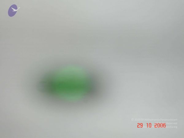 2006 Ratham Oct29th Nov05th Photo 292 1HKVdpqJiUzAPw5ztuyvqChyDpr61Pa7K.jpg