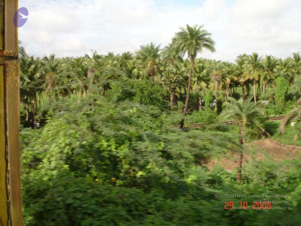 2006 Ratham Oct29th Nov05th Photo 304 16AAHZEf sqW18grSGxZDA6uQfzx8x35m.jpg