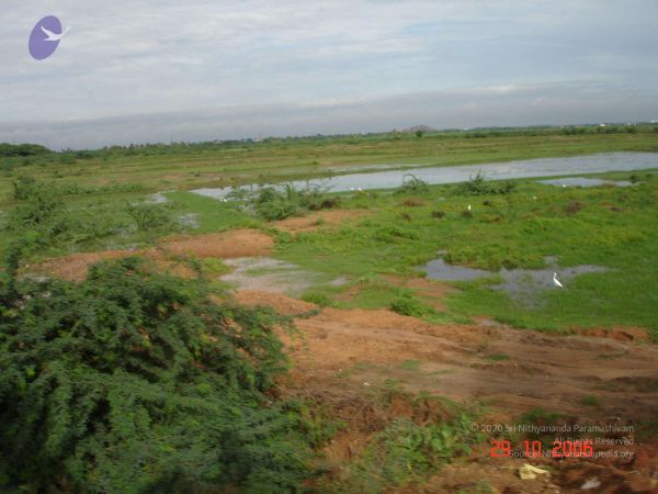 2006 Ratham Oct29th Nov05th Photo 305 1yNiJ 82K5d7IMfFjjlSOPs4c gSlC2hB.jpg