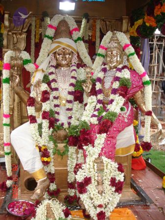 2006 Ratham Oct29th Nov05th Photo 387 1CWP LerMCeDwCLIH6S1BiBZ-pdklenug.jpg