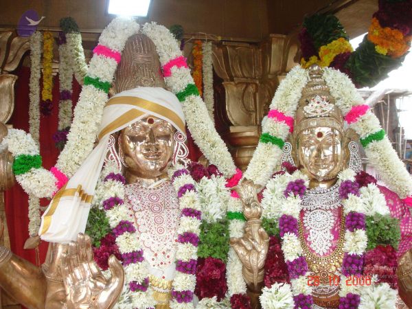 2006 Ratham Oct29th Nov05th Photo 396 1vW943DrkZstCBdwoTJP0Hrg51OBhNLpI.jpg