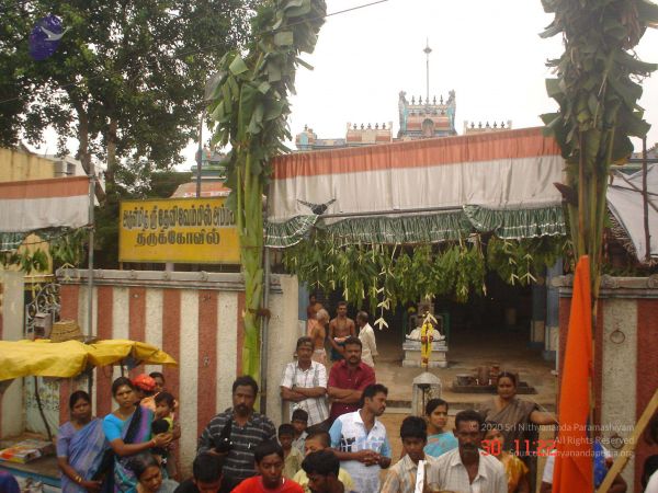 2006 Ratham Oct29th Nov05th Photo 713 1eAxTu7mEtpYo0742c-uM982Tl84R Mij.jpg