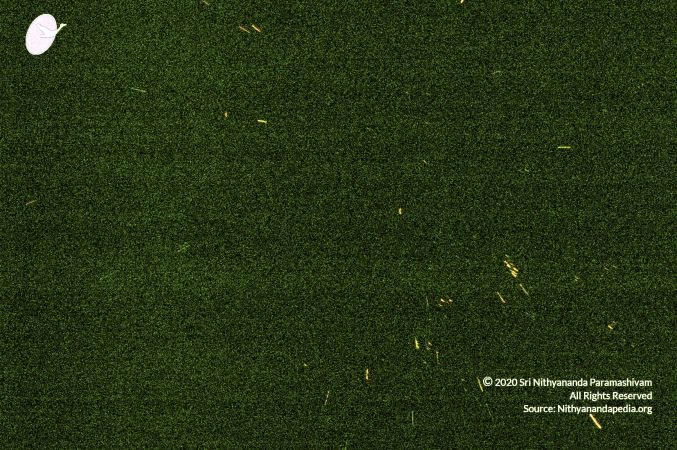 20070101 DSC 2577 CMP WM00100.jpg