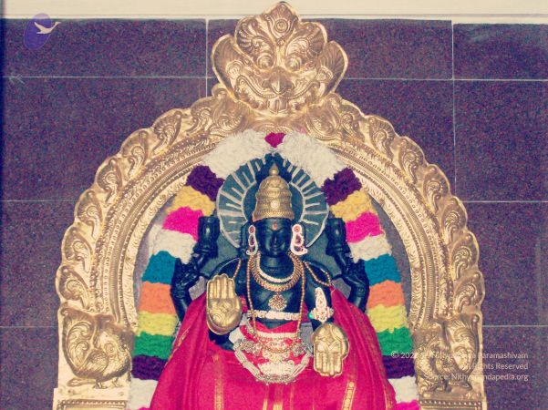 20070101 Photo 167 1UVQF3Y8NQrPzwiv7u51a UejW2ahCcUp watermarked.jpg