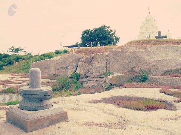 20070101 Photo 198 1U5YXsnYM8j5PrKVXRAeAdZoJBABSzZKa watermarked.jpg