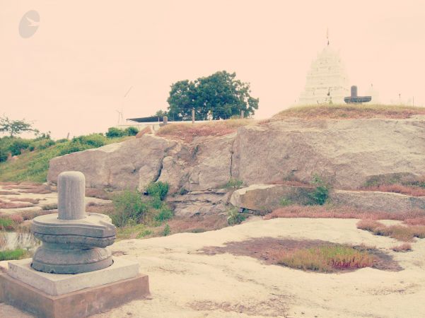 20070101 Photo 199 1ifAA03irSk5M0wwcfizf8YHattdBqUjU watermarked.jpg