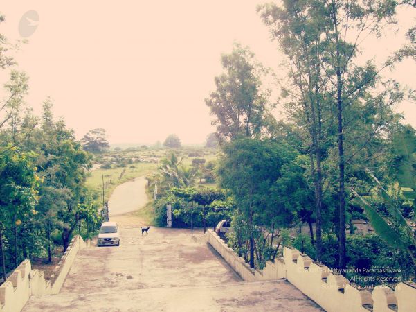 20070101 Photo 212 1OS7VVdqWgqhfx07yPmpShsr240-uT9Ms watermarked.jpg