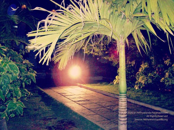 20070101 Photo 295 1J9 kF3xVF3hUrT5AwAfOs7f FKx 9Hjm.jpg