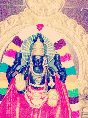 20070101 Photo 324 1PlXpKnMiaFWhs8Tl7KTXZYVDRQ3wDjxF.jpg