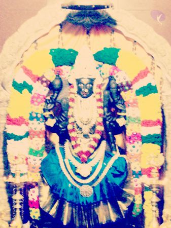 20070101 Photo 361 1YCn-sndudBB-pXAMy3N-cEGyRty6TiSv.jpg