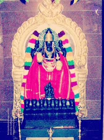 20070101 Photo 378 1i75VDyz3sz3DYseMp65 sXagmFkic9qI.jpg