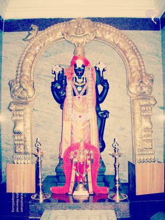 20070101 Photo 383 1rB8DO5ZTJAaLJEGIv7uxnZkejwLcFqHG.jpg